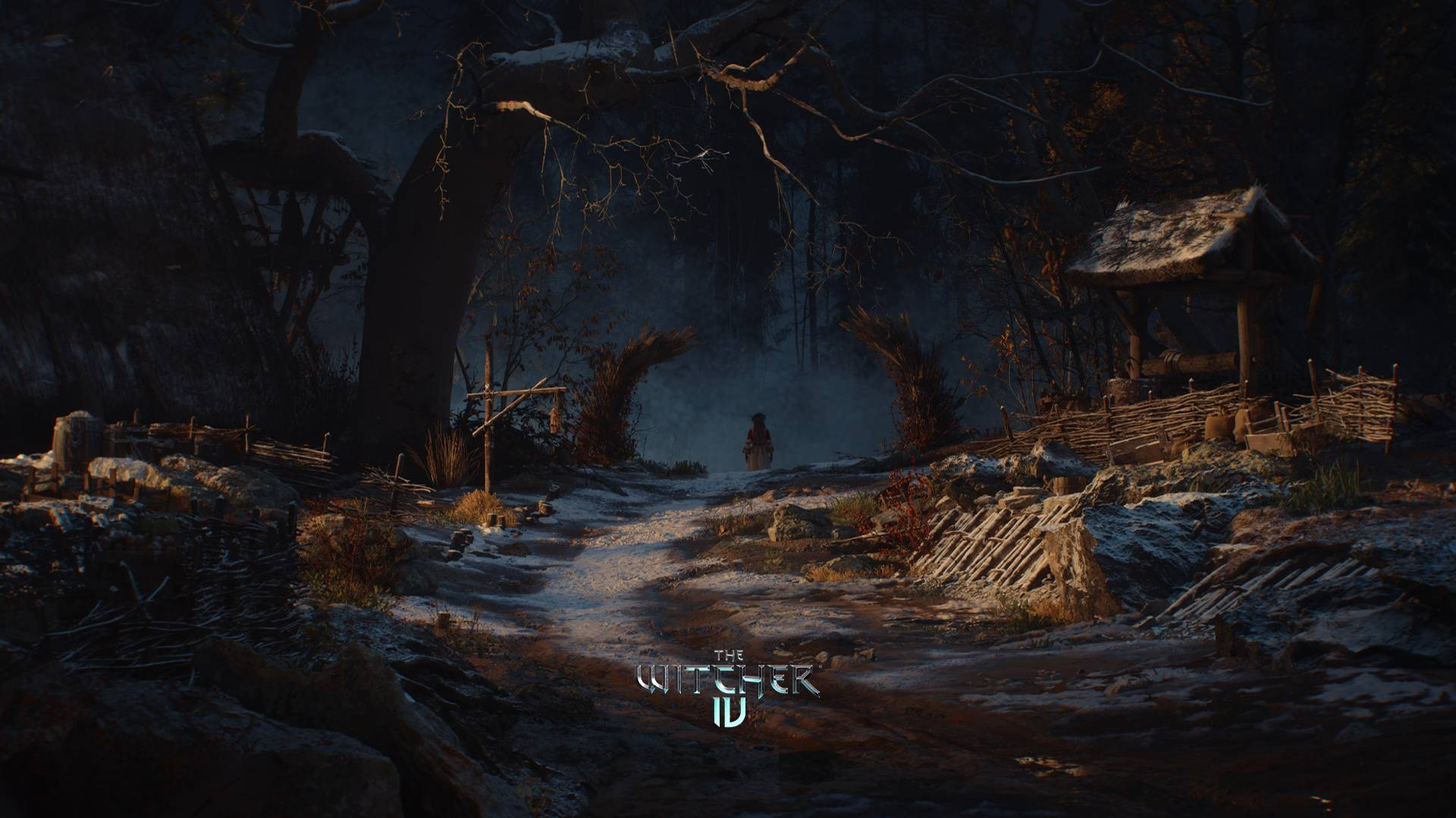 One of the villager in the woods in Witcher 4